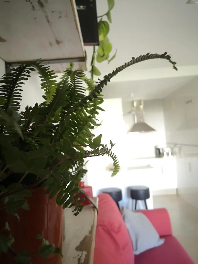 Apartamento Entres dos paraísos: Zahara de los Atunes y Tarifa La Zarzuela España